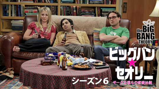 ビッグバン★セオリー/ギークなボクらの恋愛法則 シーズン6